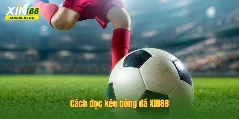 cách đọc kèo bóng đá
