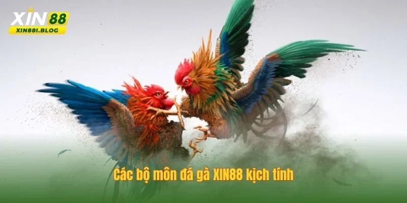 đá gà XIN88