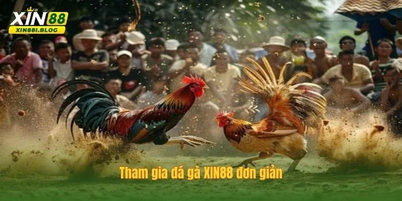 đá gà XIN88
