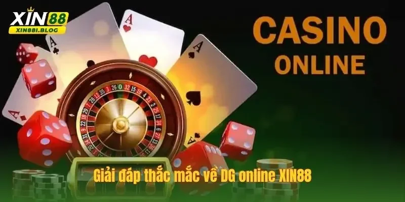 DG online XIN88