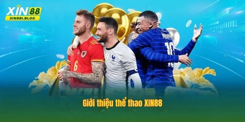 Thể thao XIN88