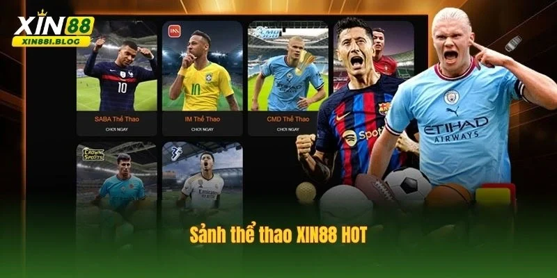 Thể thao XIN88